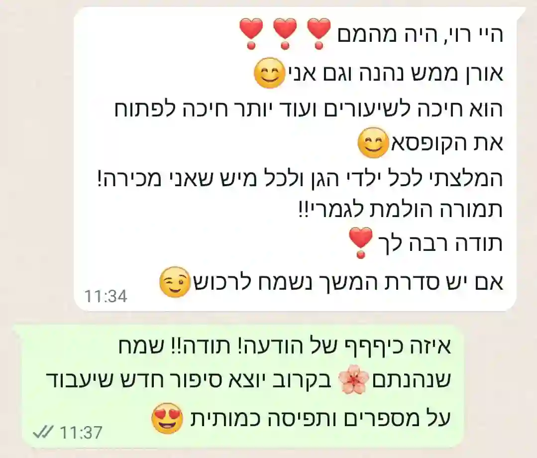תמונת המלצה