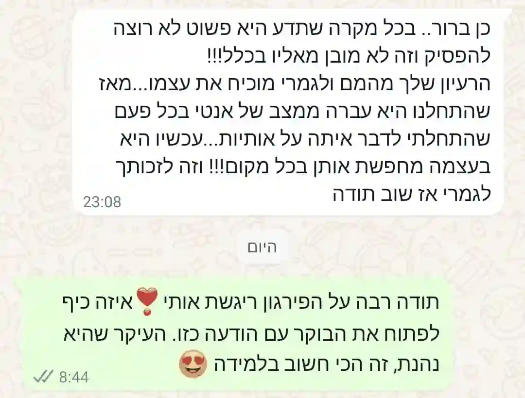 תמונת המלצה