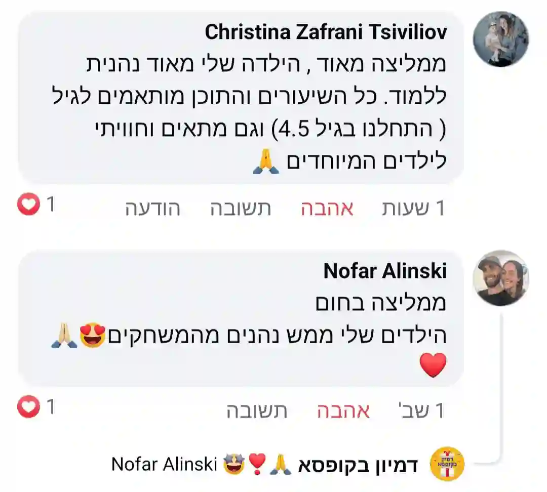 תמונת המלצה